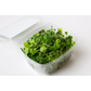 Basic Blend Microgreens - Precut