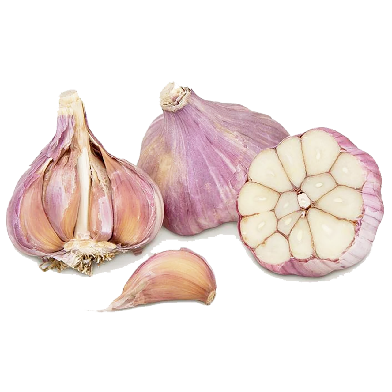 Garlic - Hard Neck Purple Russian Garlic