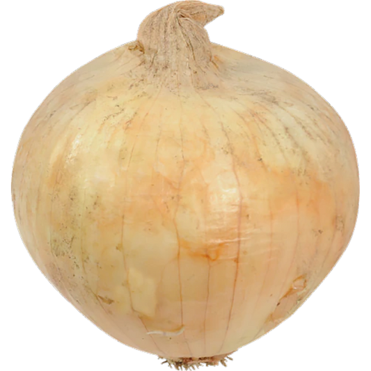 Jumbo Yellow Onion - Organic