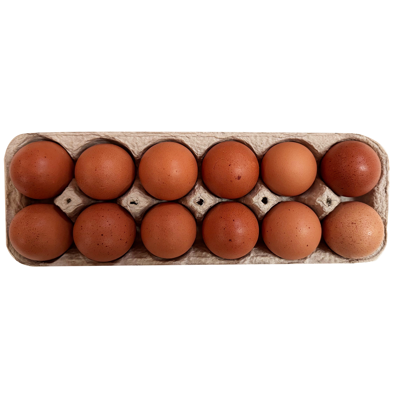 Eggs - Organic