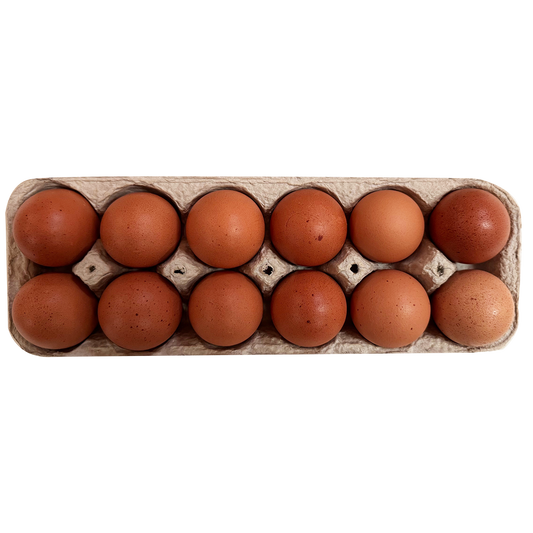 Eggs - Organic