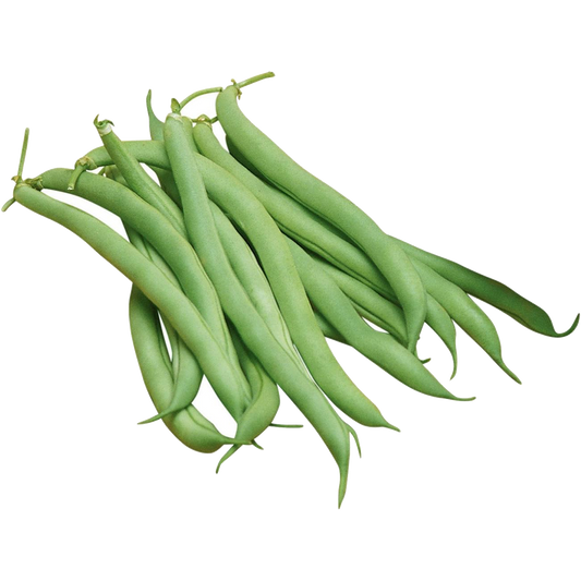 Pole Beans - Chemical Free