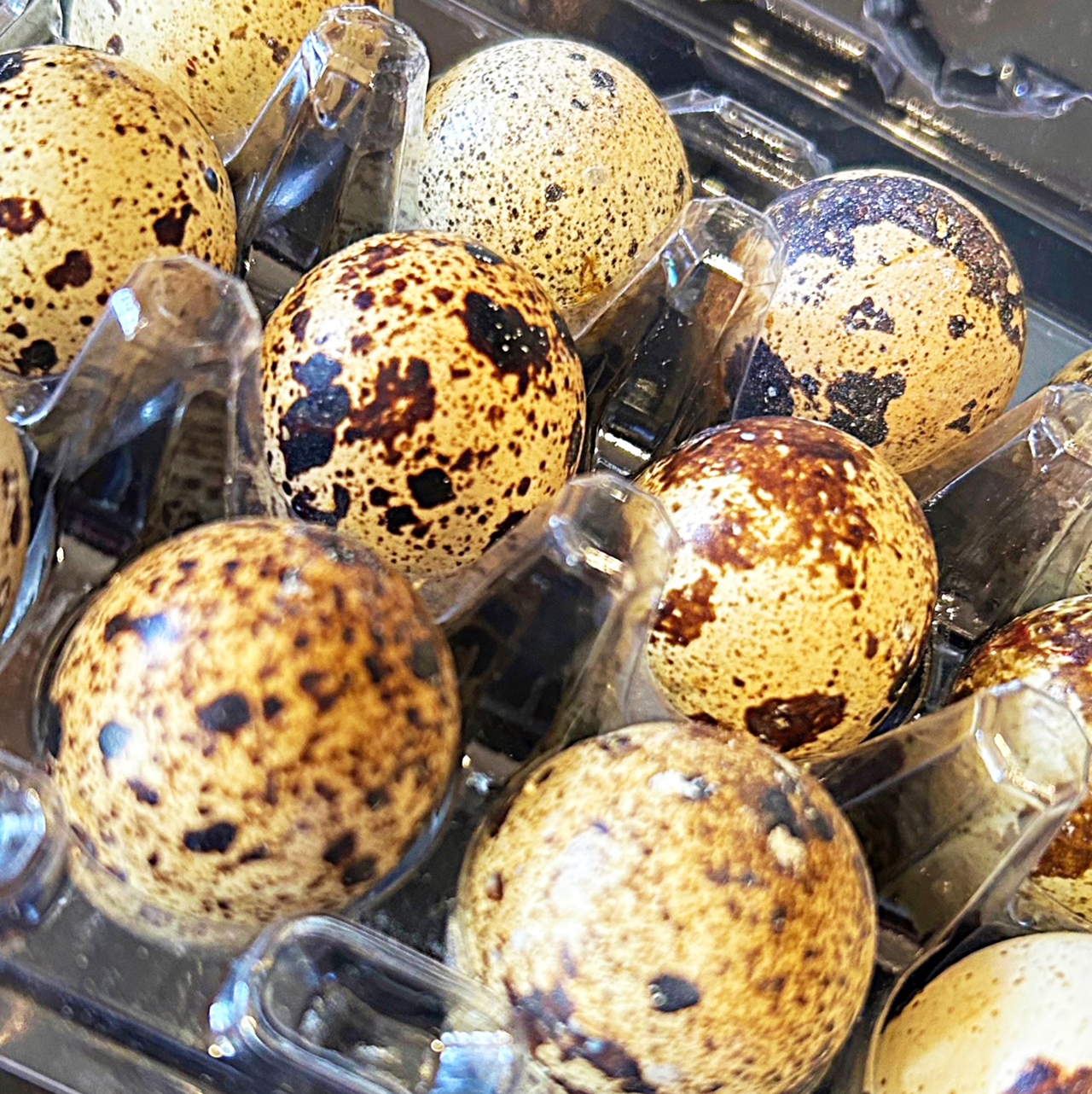 Quail Eggs