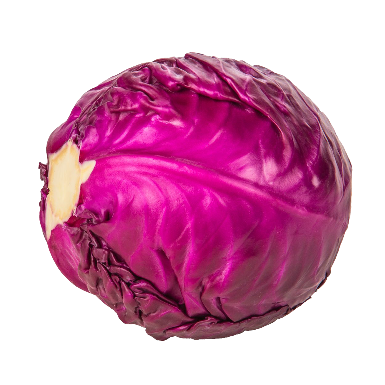 Red Cabbage - Organic