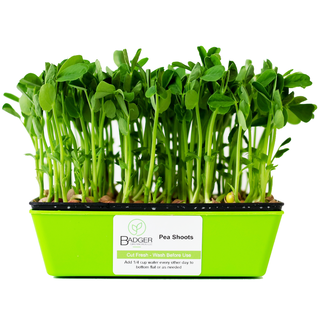 Speckled Pea Shoots Microgreens – FarmFreshXpress - Local Food to Your ...