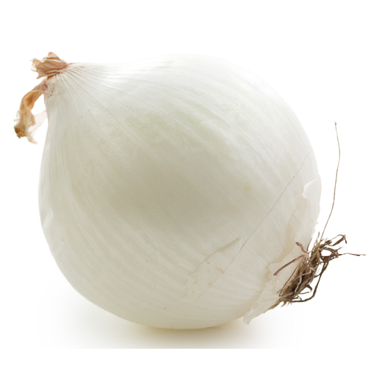 Jumbo White Onion