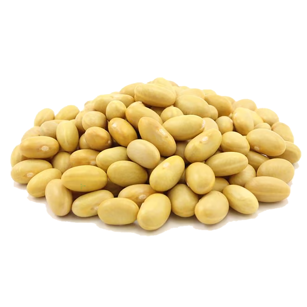 Yellow Canary Beans - Organic